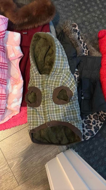 Photo 1 of DOG SWEATERS SIZE SMALL