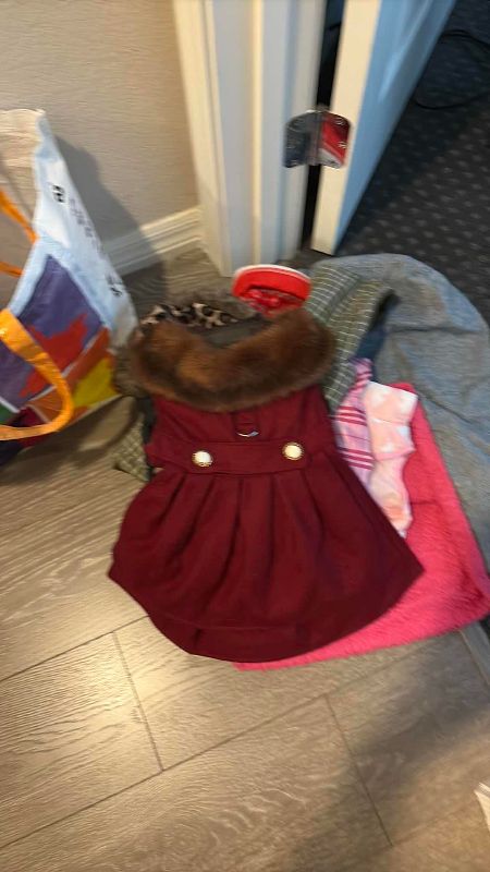 Photo 1 of DOG SWEATERS SIZE SMALL