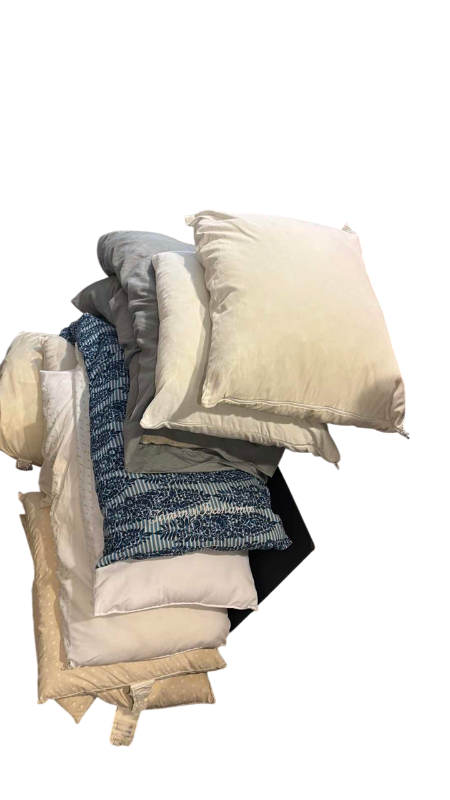 Photo 1 of PILLOWS