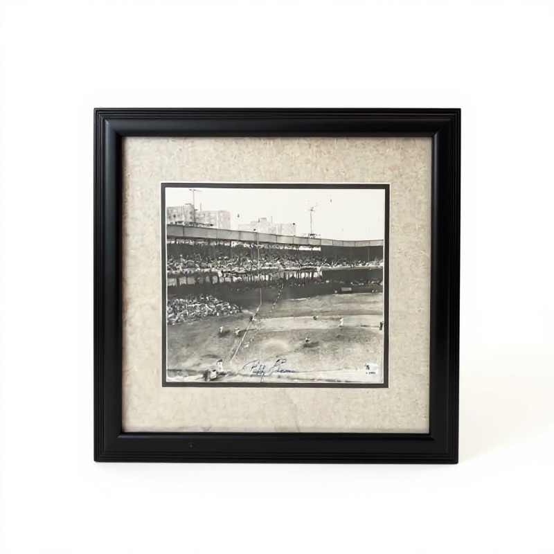 Photo 1 of FRAMED HOME FIELD STADIUM FOR "NEW YORK GIANTS" BASEBALL TEAM PHOTOGRAPH-SIGNED BY ROBBIE THOMPSON 17“ x 15“