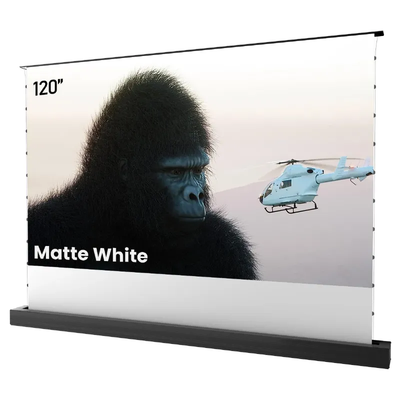 Photo 1 of 100''-120'' AWOL Vision Matte White Motorized Floor Rising Screen           