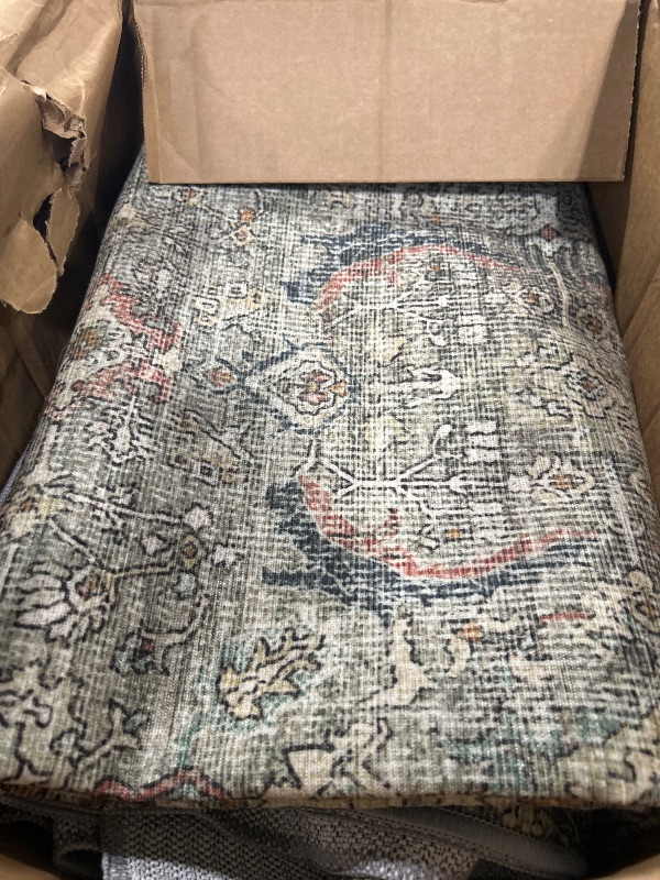 Photo 1 of *** SIMILAR IMAGE***BESBLEE 6X9 Area Rugs Machine Washable Rugs for Living Room, Vintage Boho Large Rugs for Bedroom Dining Room, Non Slip Indoor Soft Distressed Lightweight Thin Low Pile Carpet, Green