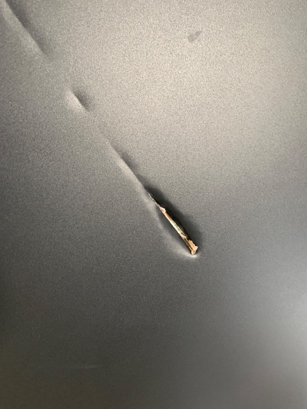 Photo 1 of WildFinder Rooftop Tent Hard Shell Roof Top Tent Hardshell Suitable for Jeep SUV Truck Van?Camping Car Roof Tent for 2-3 Person