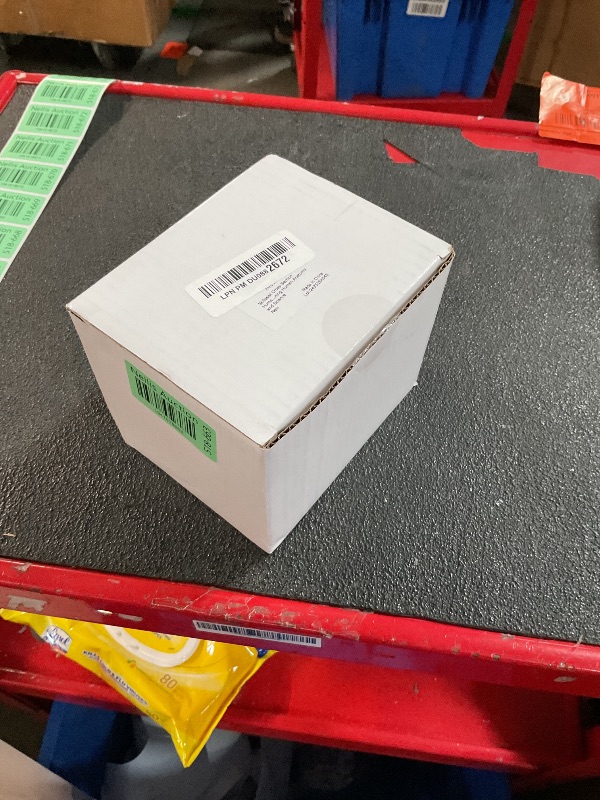 Photo 1 of Skillssist Cross-Section Brain Model, Human Brain Anatomy Model for Kids, 2 Pieces Foam Brain for Science Education and Anatomy Learning