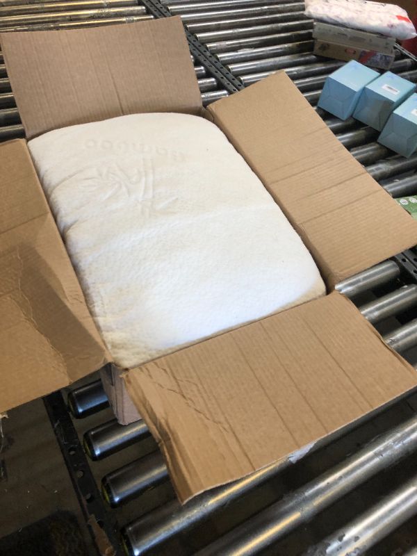 Photo 1 of SET OF MEMORY PILLOW 