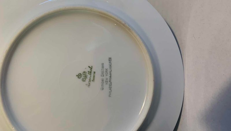 Photo 1 of 22 VINTAGE ROSENTHAL CONTINENTAL OLD VIRGINIA PORCELAIN SALAD PLATES MADE IN BAVARIA GERMANY CLASSIC ROSE ERA