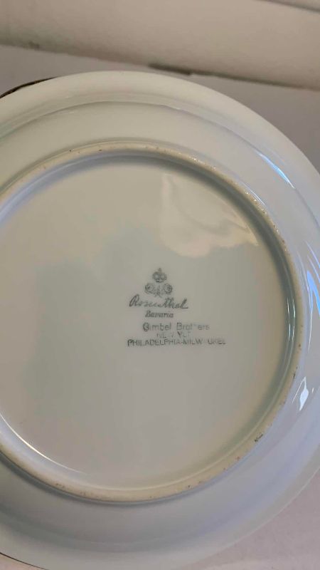 Photo 1 of 18 VINTAGE ROSENTHAL CONTINENTAL OLD VIRGINIA PORCELAIN SOUP BOWLS MADE IN BAVARIA GERMANY CLASSIC ROSE ERA