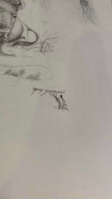 Photo 1 of 2 VINTAGE ORIGINAL PENCIL DRAWINGS BY MARY SELFRIDGE