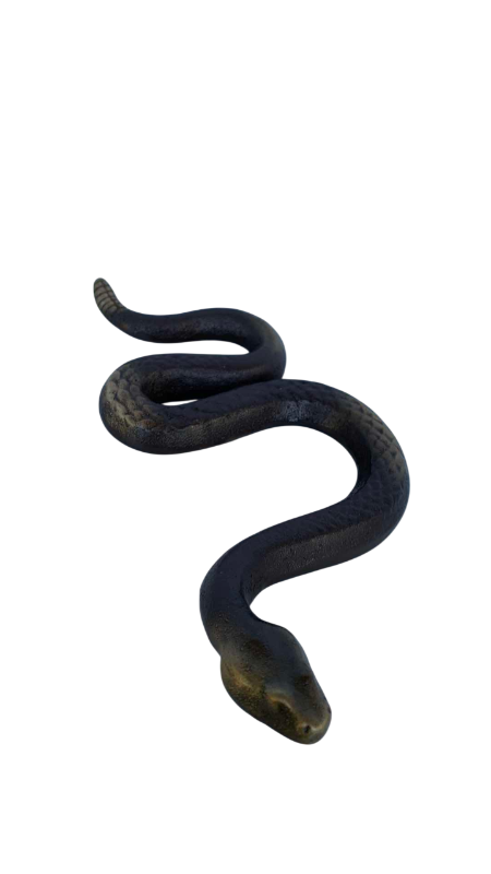 Photo 1 of BRASS RATTLESNAKE 6"