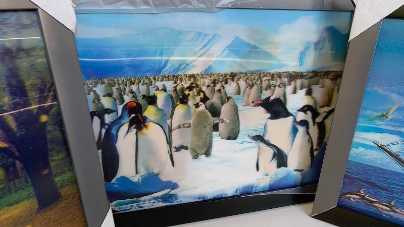 Photo 1 of 3 LENTICULAR PRINTS 12” X 15”