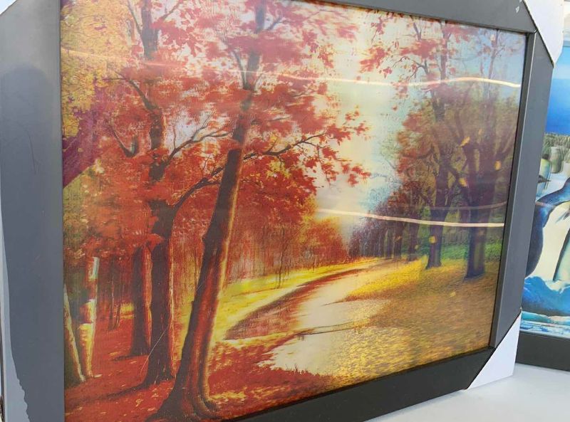 Photo 1 of 3 LENTICULAR PRINTS 12” X 15”