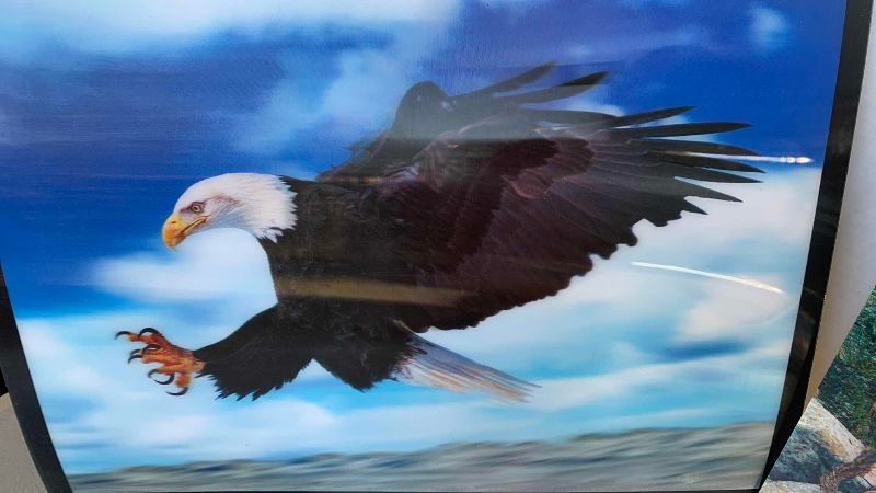 Photo 1 of 3 LENTICULAR 3D PRINTS 15” X 12”