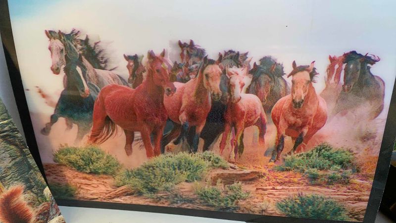 Photo 1 of 3 LENTICULAR 3D PRINTS 15” X 12”