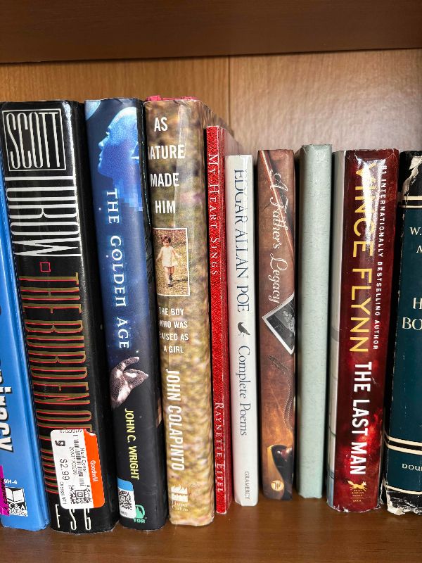 Photo 1 of CONTENTS OF SHELF: FICTIONAL BOOKS
