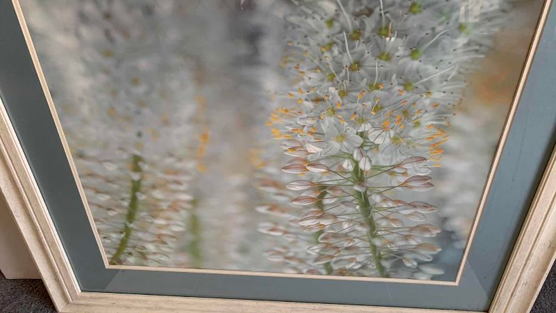 Photo 1 of “DELICATE BLOOMS” PRINT 39” X 34”