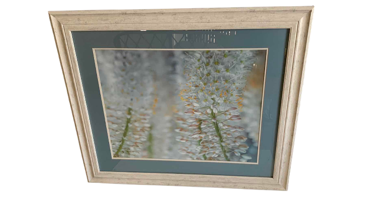 Photo 1 of “DELICATE BLOOMS” PRINT 39” X 34”