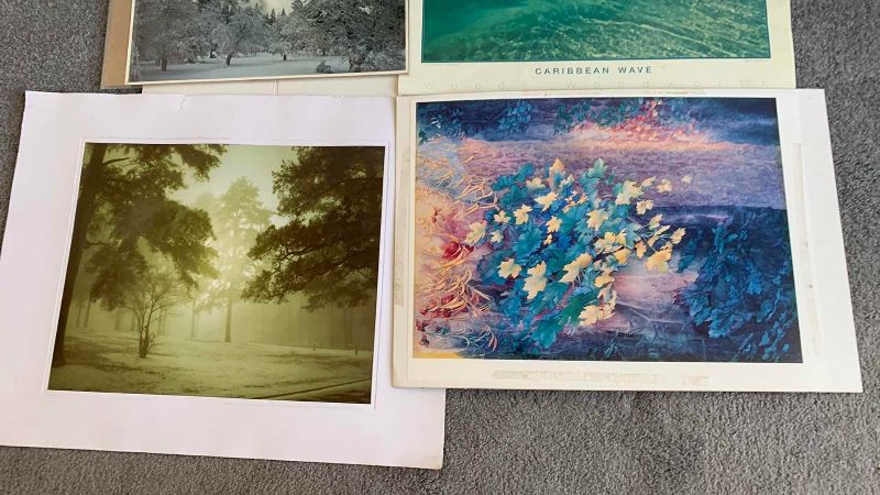 Photo 1 of FIVE PIECES OF NATURE ARTWORK 45” X 30” LARGEST