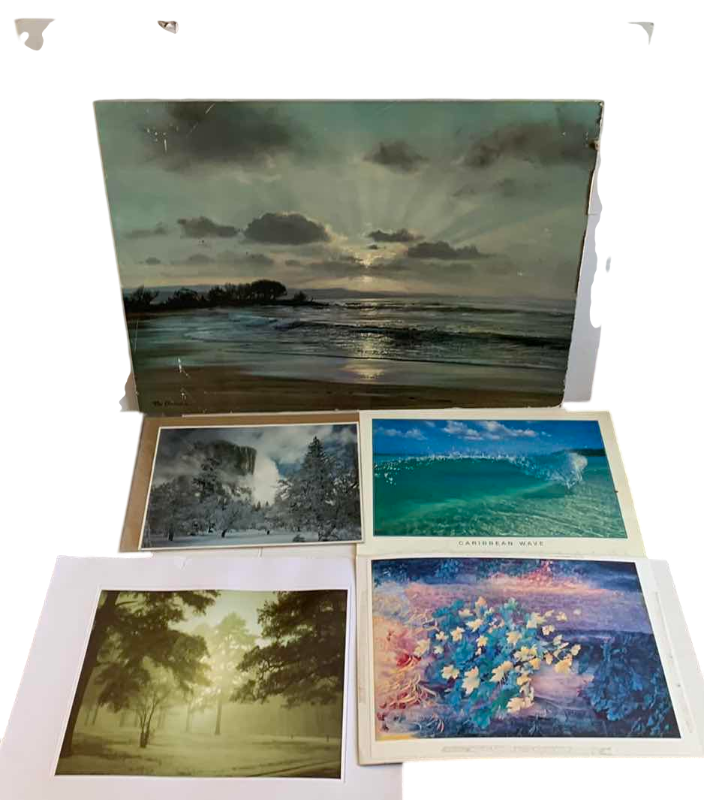 Photo 1 of FIVE PIECES OF NATURE ARTWORK 45” X 30” LARGEST