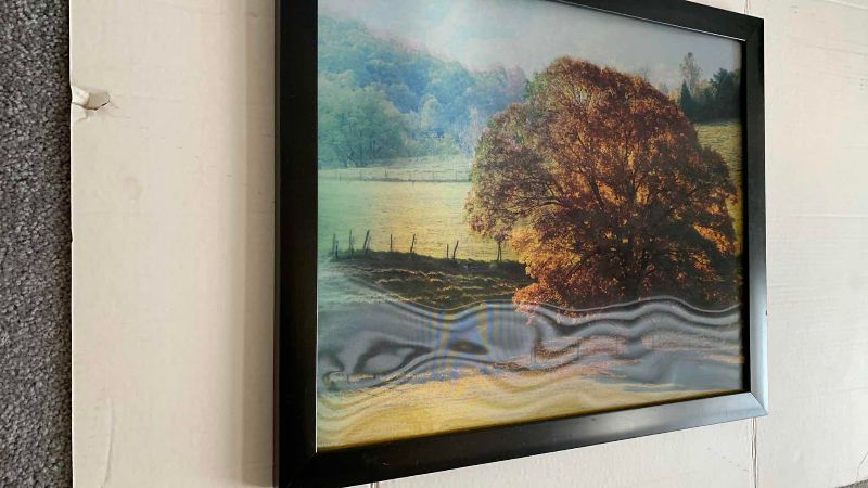 View 5 of PAIR OF LENTICULAR AND 3D ARTWORK PRINTS 30 X 22”