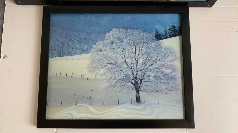 View 3 of PAIR OF LENTICULAR AND 3D ARTWORK PRINTS 30 X 22”
