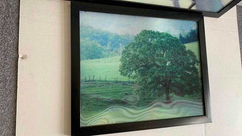 View 4 of PAIR OF LENTICULAR AND 3D ARTWORK PRINTS 30 X 22”