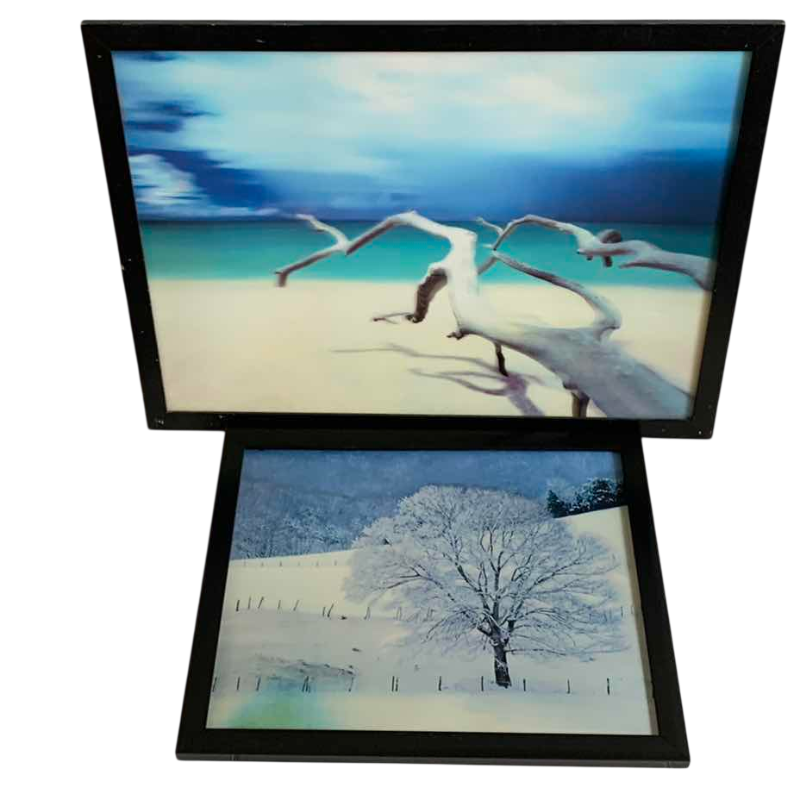 View 1 of PAIR OF LENTICULAR AND 3D ARTWORK PRINTS 30 X 22”