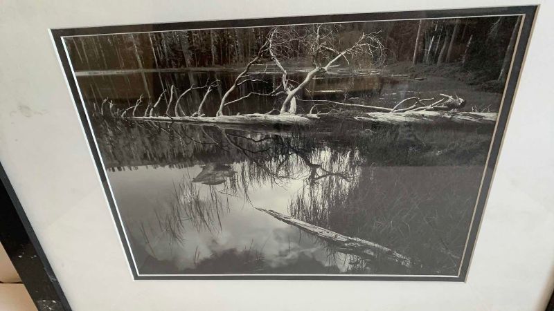 Photo 1 of “SIESTA LAKE” PRINT BY ANSEL ADAMS