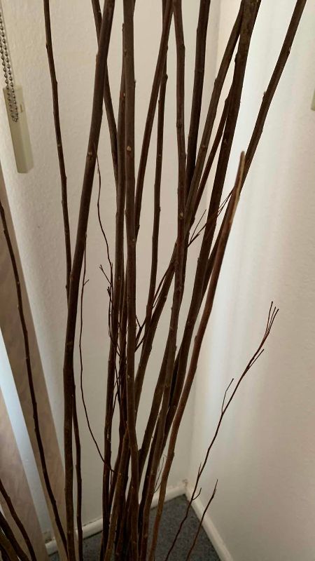Photo 1 of GLASS VASE WITH REEDS 77”