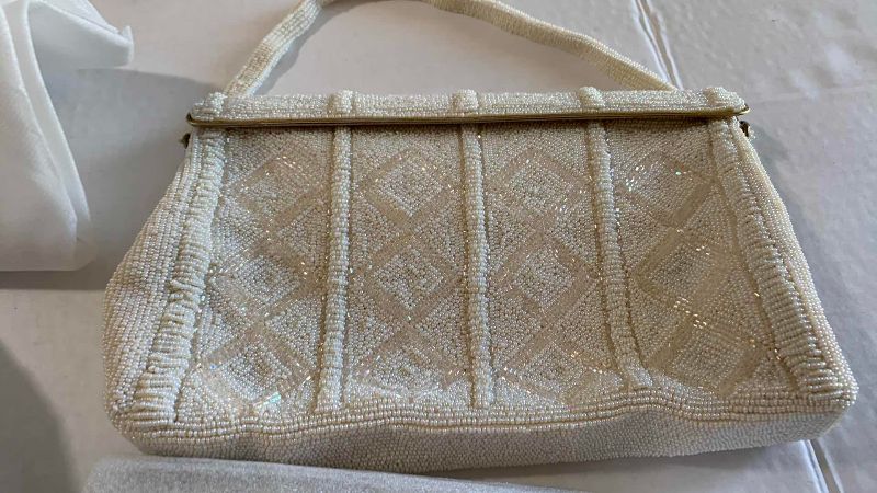 Photo 1 of AIMEE KESTENBERG HANDBAG AND BEADED EVENING BAG