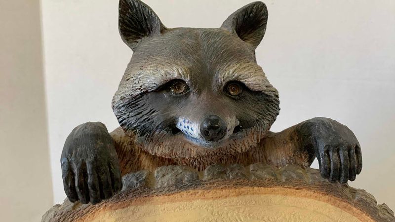 View 2 of RESIN RACCOON HOLDING WELCOME TO MY POND PLAQUE 12“ X 15“