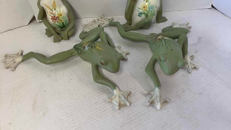 View 3 of 4 FROGS LONGEST 14”