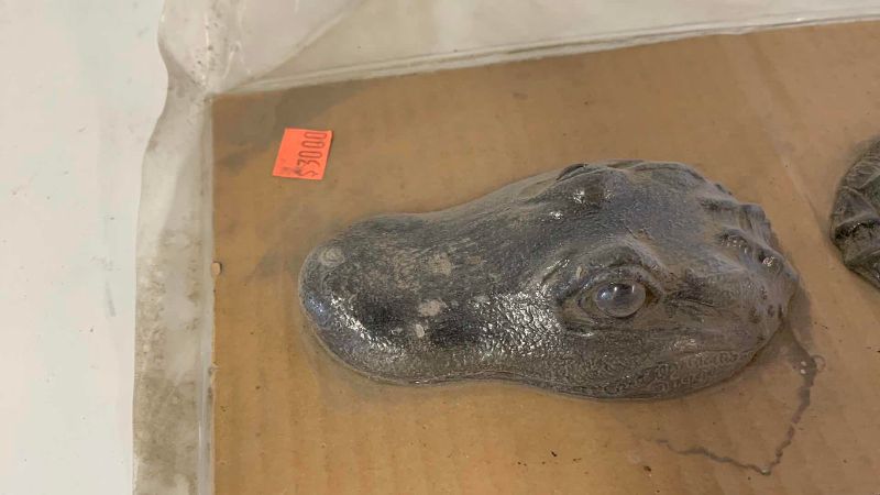 View 2 of STONE ALLIGATOR 15” LONG