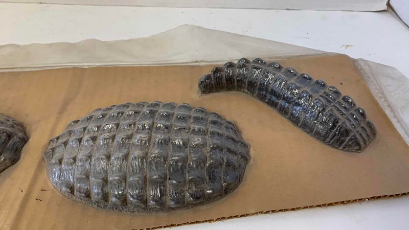 View 3 of STONE ALLIGATOR 15” LONG