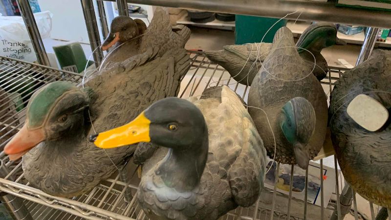 View 3 of FLOATING DUCKS WITH WEIGHT