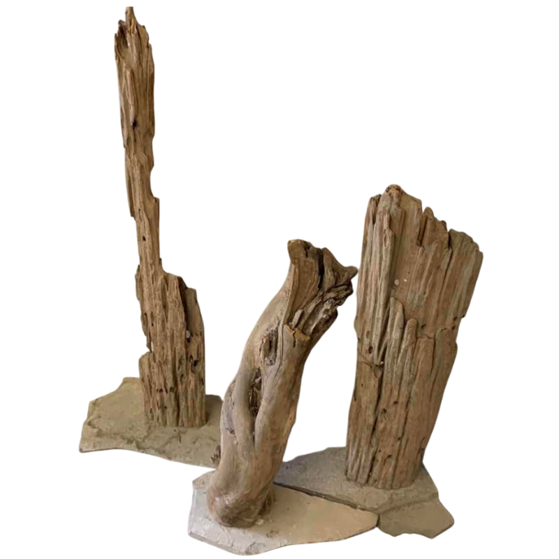 View 1 of THREE PIECES OF MOUNTED DRIFTWOOD TALLEST 41”