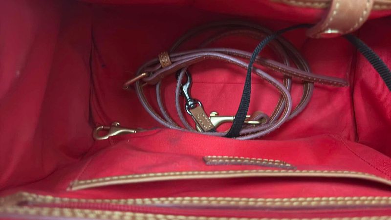 Photo 1 of DOONEY & BOURKE BROWN SNAKE HANDBAG 12”X12”