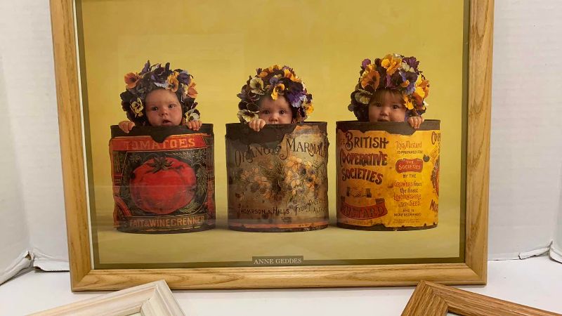 Photo 1 of 3-ANNE GEDDES BABY PICTURES