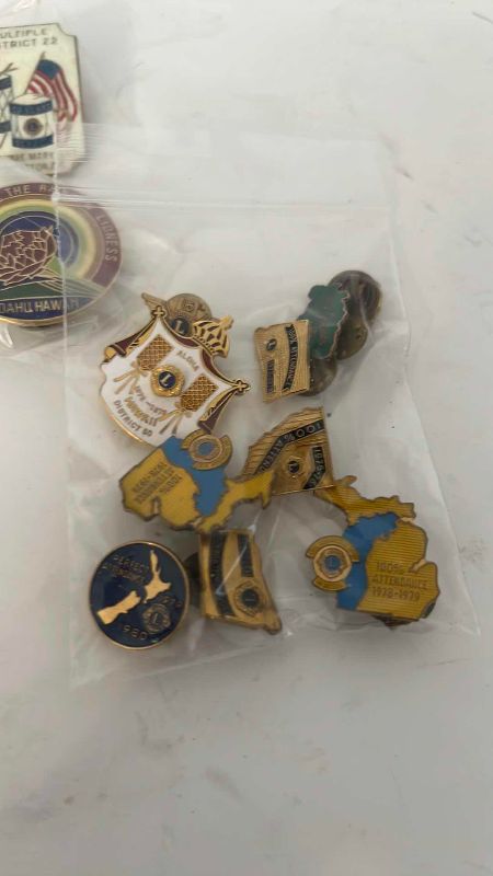 Photo 1 of VINTAGE HAWAIIAN LIONS CUB LABEL PINS (1972-1983)