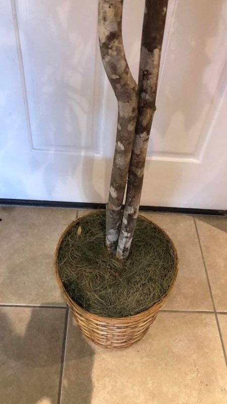 View 3 of ARTIFICIAL FICUS TREE 79”