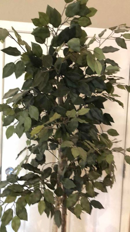 View 2 of ARTIFICIAL FICUS TREE 79”