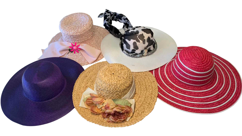 View 1 of LADIES WIDE BRIM HATS