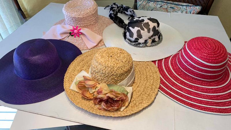 View 2 of LADIES WIDE BRIM HATS