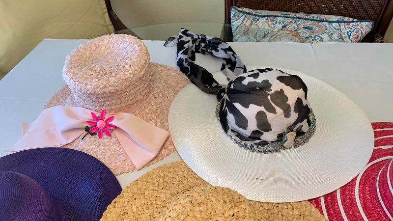 View 3 of LADIES WIDE BRIM HATS