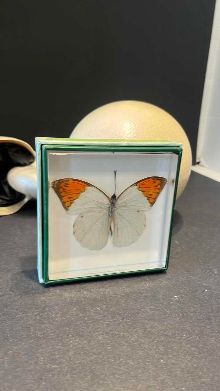 View 3 of HOME DECOR ITEMS