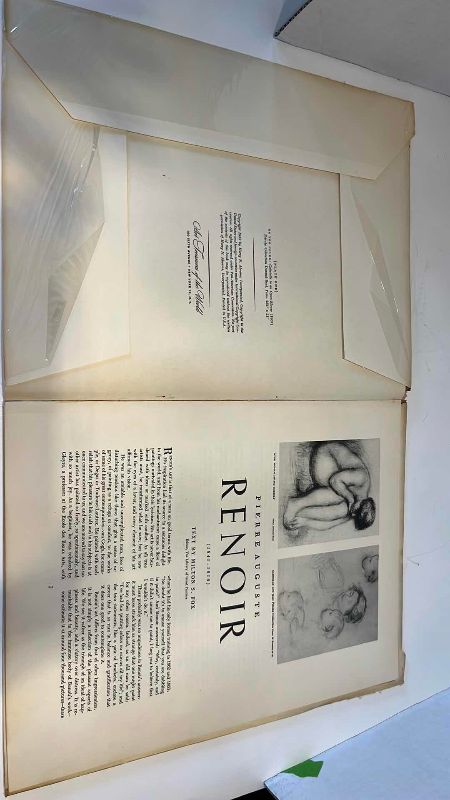 View 4 of RENOIR ART BOOK