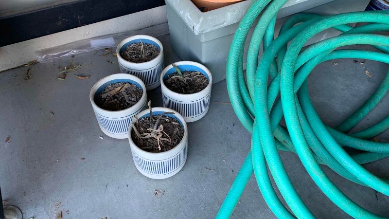 View 3 of GARDEN HOSE AND ASSORTED POTS