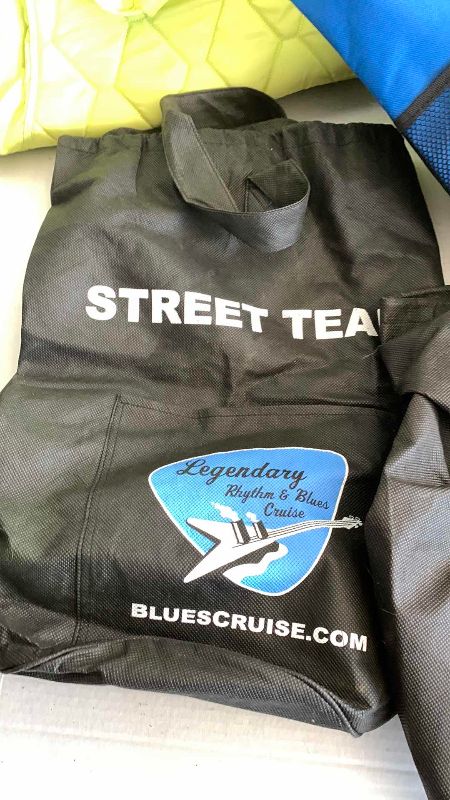 Photo 1 of INSULATED BAG AND MUSIC THEMED BAGS