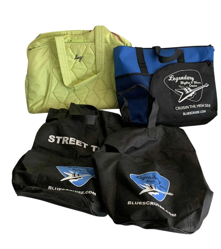 Photo 1 of INSULATED BAG AND MUSIC THEMED BAGS