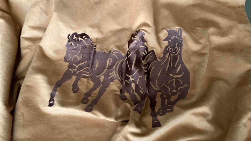 Photo 1 of WESTERN THEMED SHOWER CURTAIN