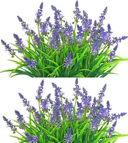 Photo 1 of  Fake Lavender Flowers